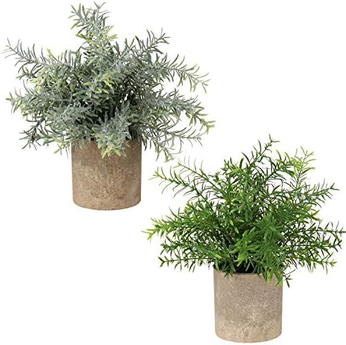 BELLE VOUS Mini Grün, Lila & Weiß Kunstpflanzen Set (4er Pack) - Kleine ...